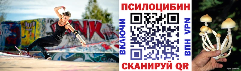 купить наркотики сайты  Сибай  Галлюциногенные грибы GOLDEN TEACHER 
